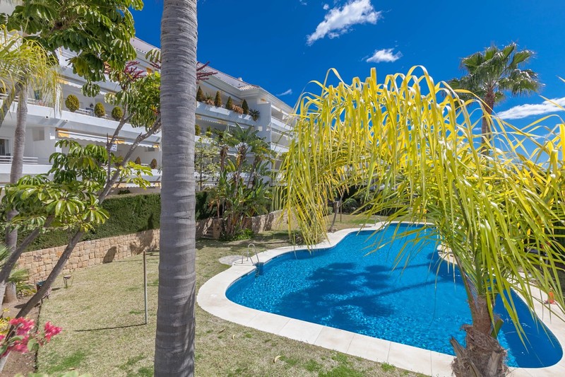 Grote 3 slaapkamers, 3 badkamers penthouse in Guadalmina Baja, Marbella